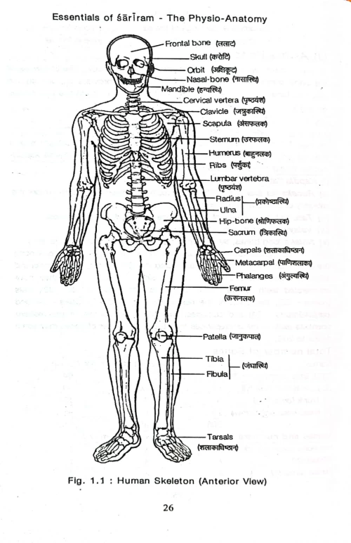 Essentials Of Shariram